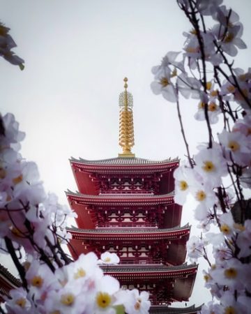 Asia